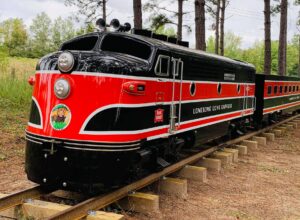 Swanee River Railroad locomotive