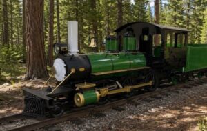 Miniature Train